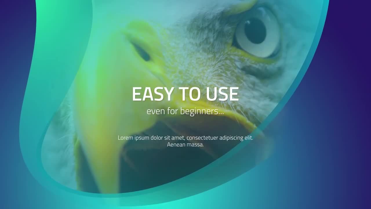 时尚渐变色彩转场特效视频素材库精选AE模板