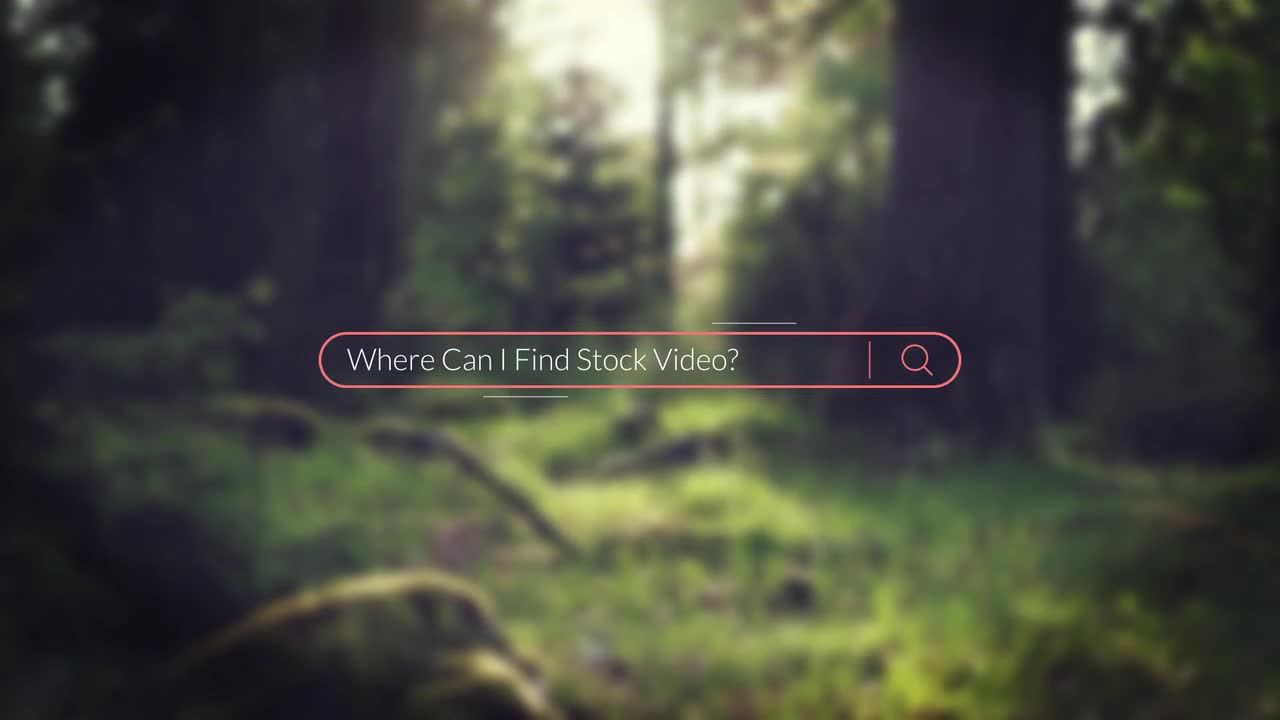 现代简单的照片动态展示logo素材库精选AE模板