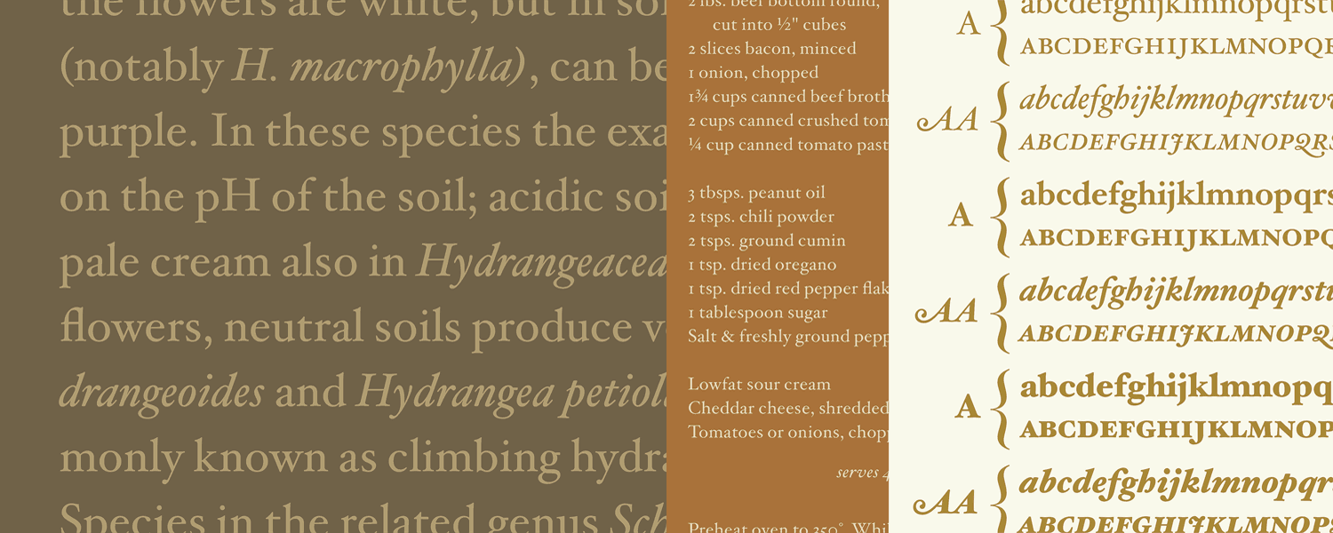 Hoefler Text Pro 2018 Font Family插图3