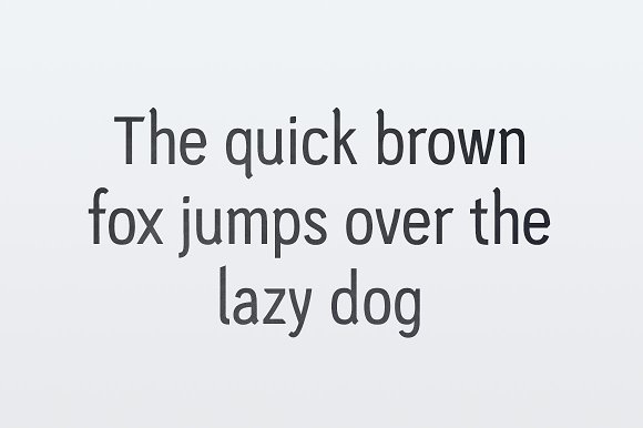 PC Navita – Regular插图1