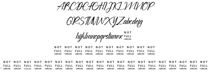 The Chamid Personal Use Only font插图1