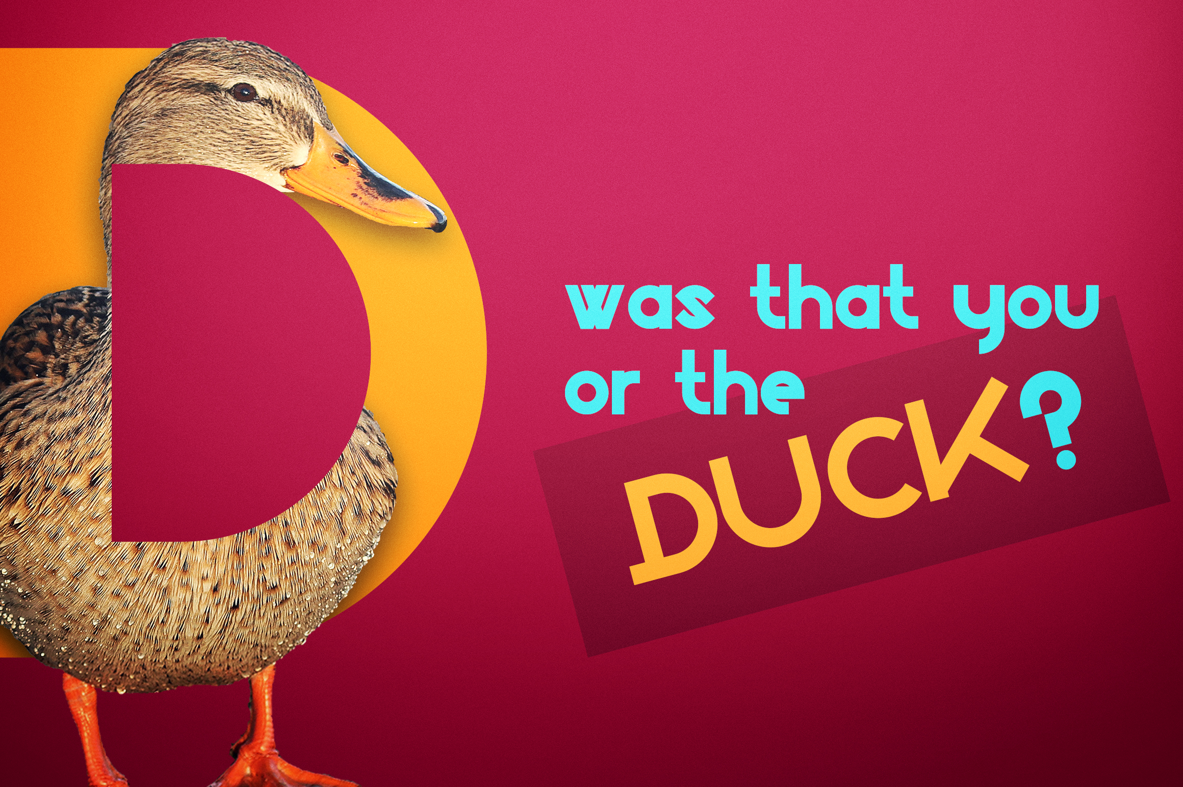 Fontbundles – Boxo Font插图2