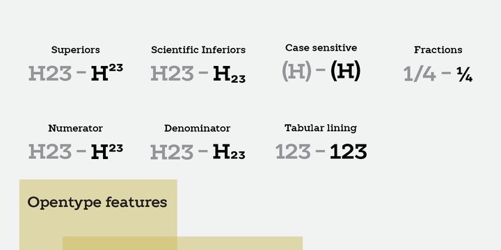 TT Slabs Font Family插图2