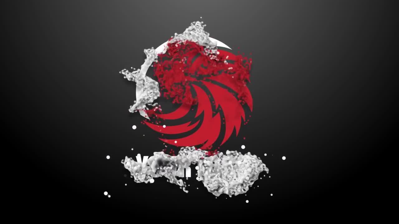 简短创意的动画粒子徽标展示素材库精选AE模板