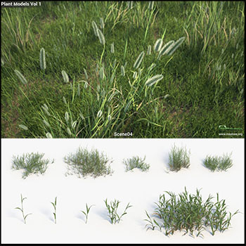 20种草地植物素材之家精选3D模型