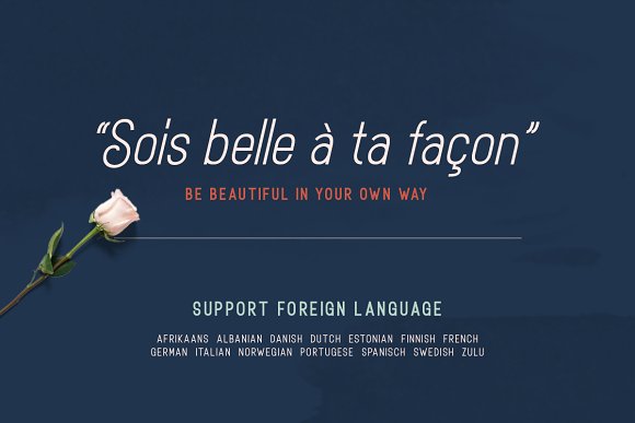 Rotrude Sans (16 FONTS)插图3