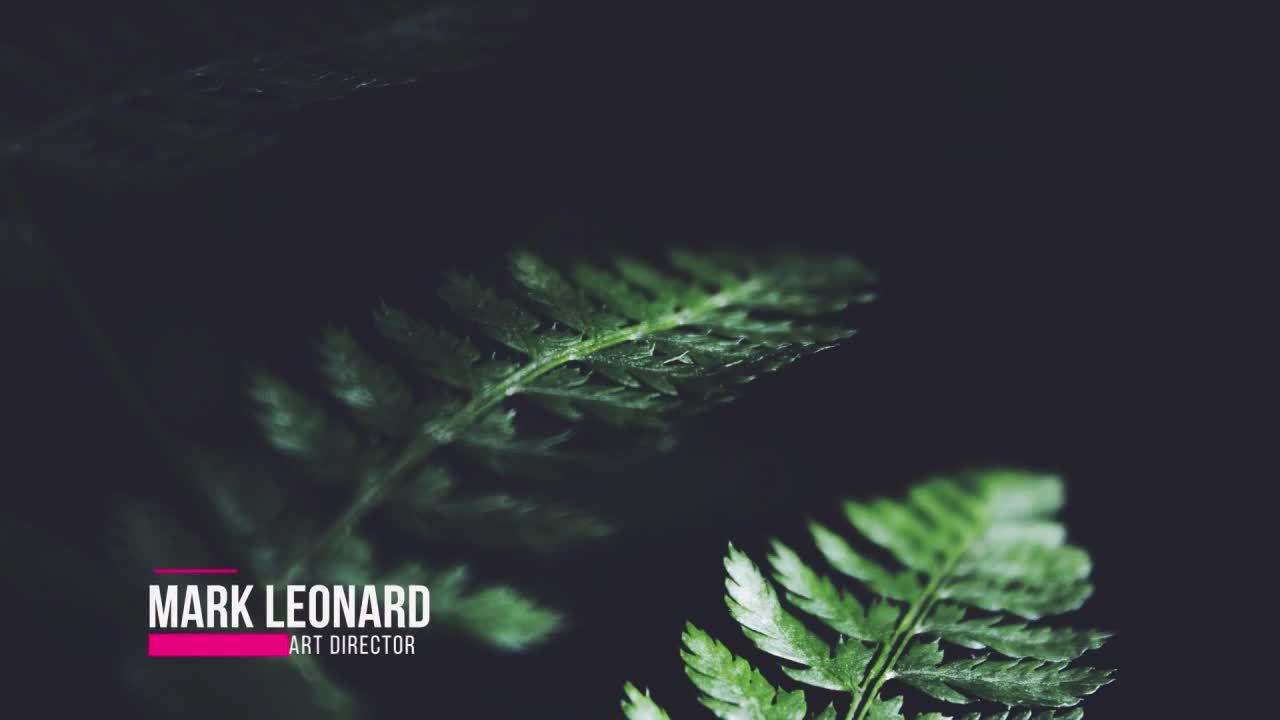 8个独特的三分之二标题动画素材库精选AE模板