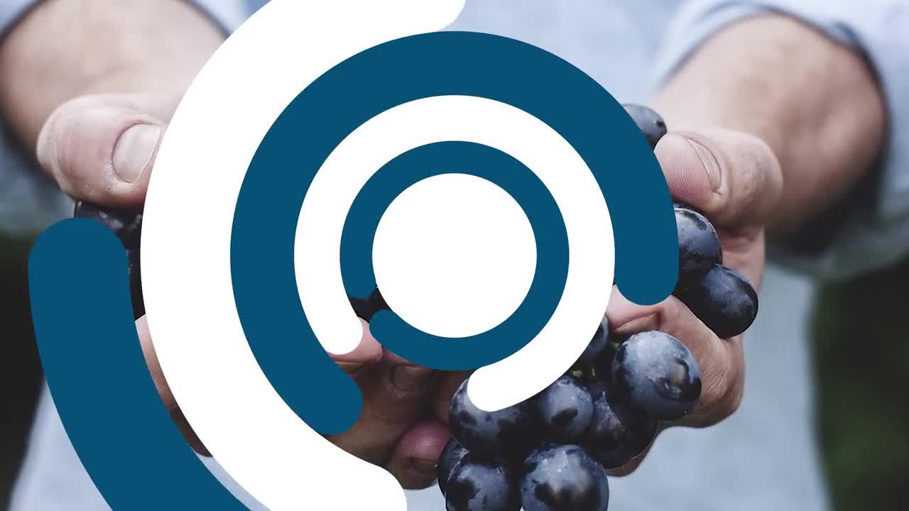 8个独特的圆形过渡和颜色控制Pr模板