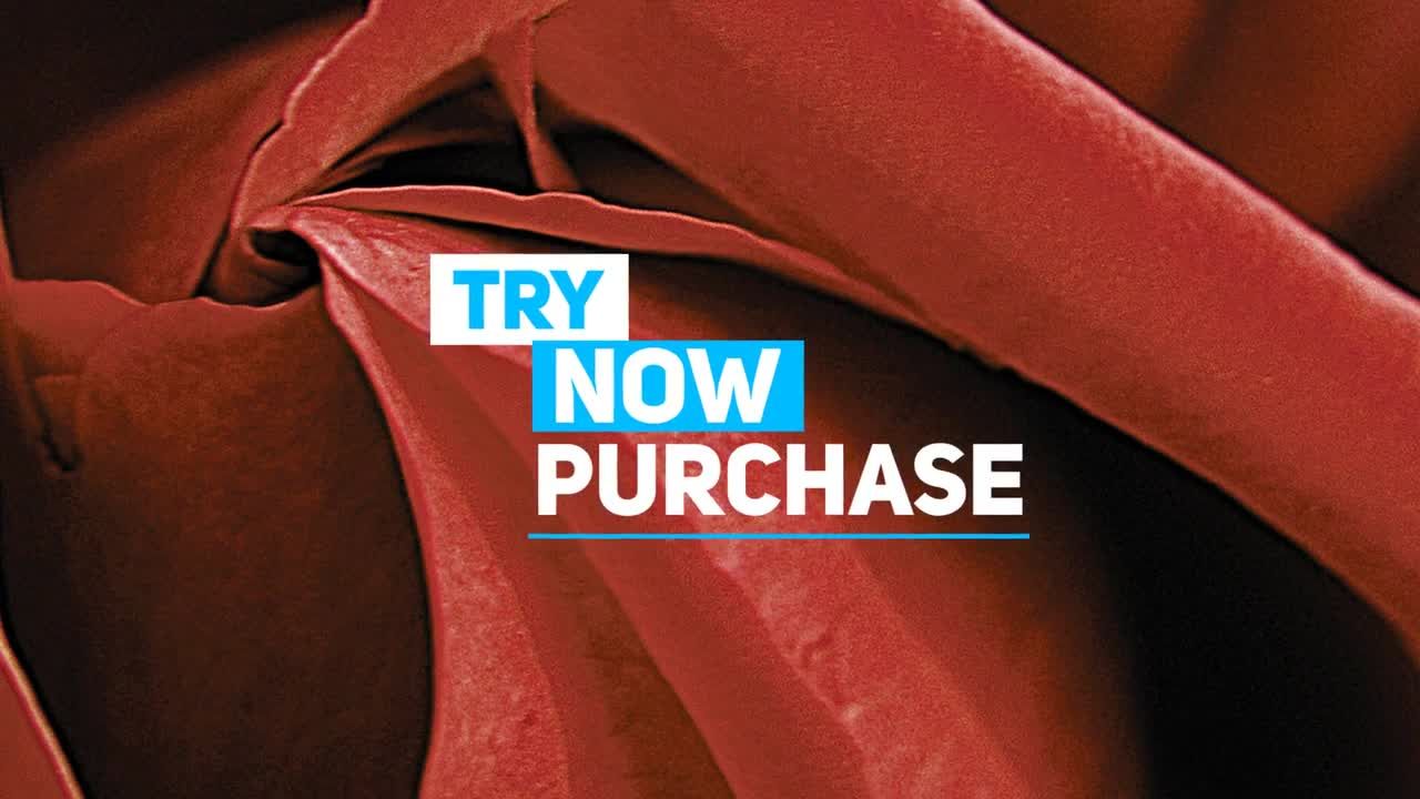 时尚的视频博客4K新标题素材库精选AE模板