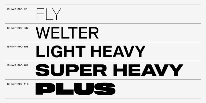 Shapiro Font Family插图3