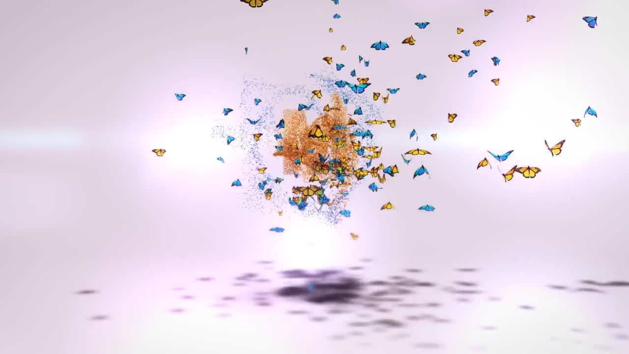 蝴蝶开场logo动画素材库精选AE模板