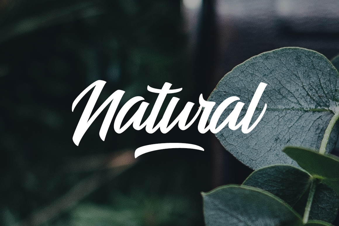 Fontbundles – Alfien插图3