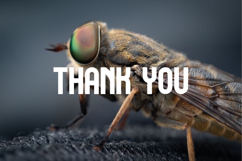 GREAT BOLD Regular Font插图4