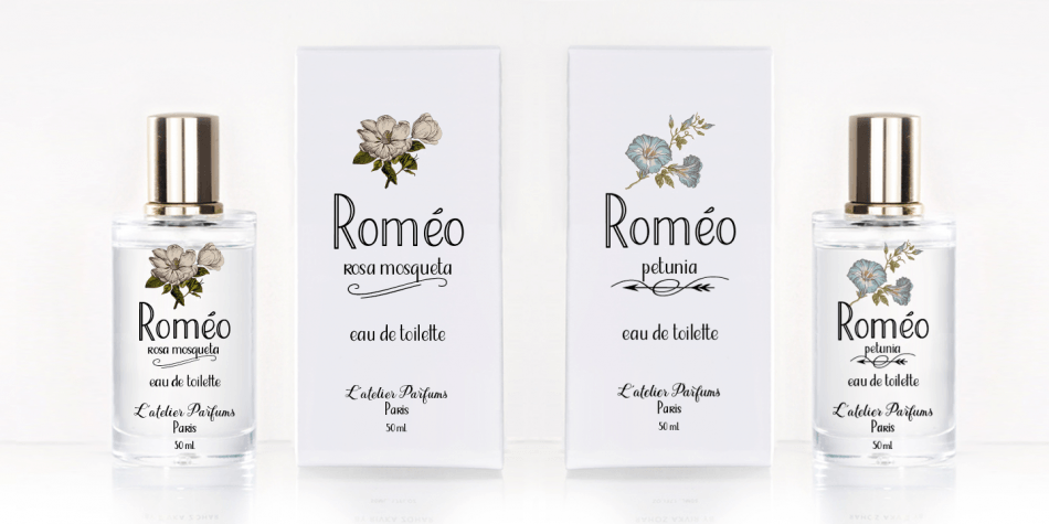 Jacine Font Family插图3