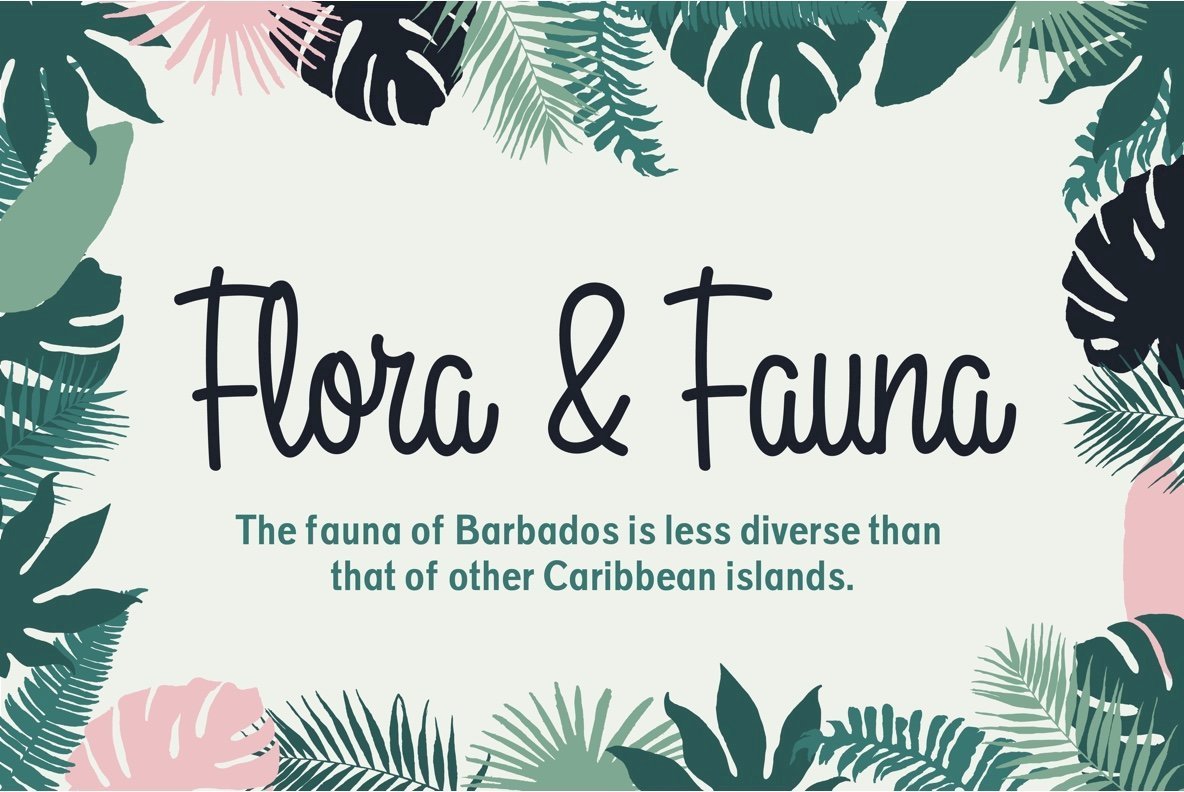 Rockaway Beach Font Family插图2