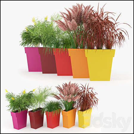 IL VASO户外花盆盆栽植物素材之家精选3D模型