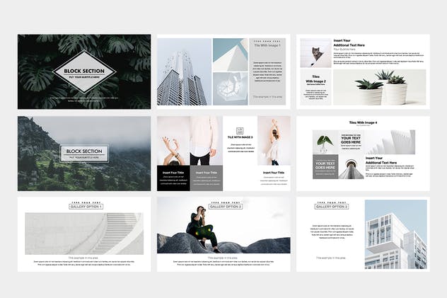 企业投标应标方案设计PPT模板素材 Alpha Powerpoint Presentation插图(2)