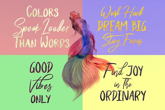 Shutten Reason – Duo Handwritting Font插图4