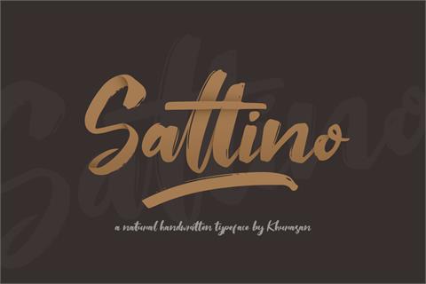 Saltino font素材之家精选英文字体