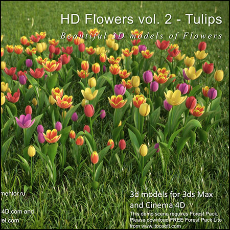 高清郁金香等花卉绿色植物3D/C4D模型
