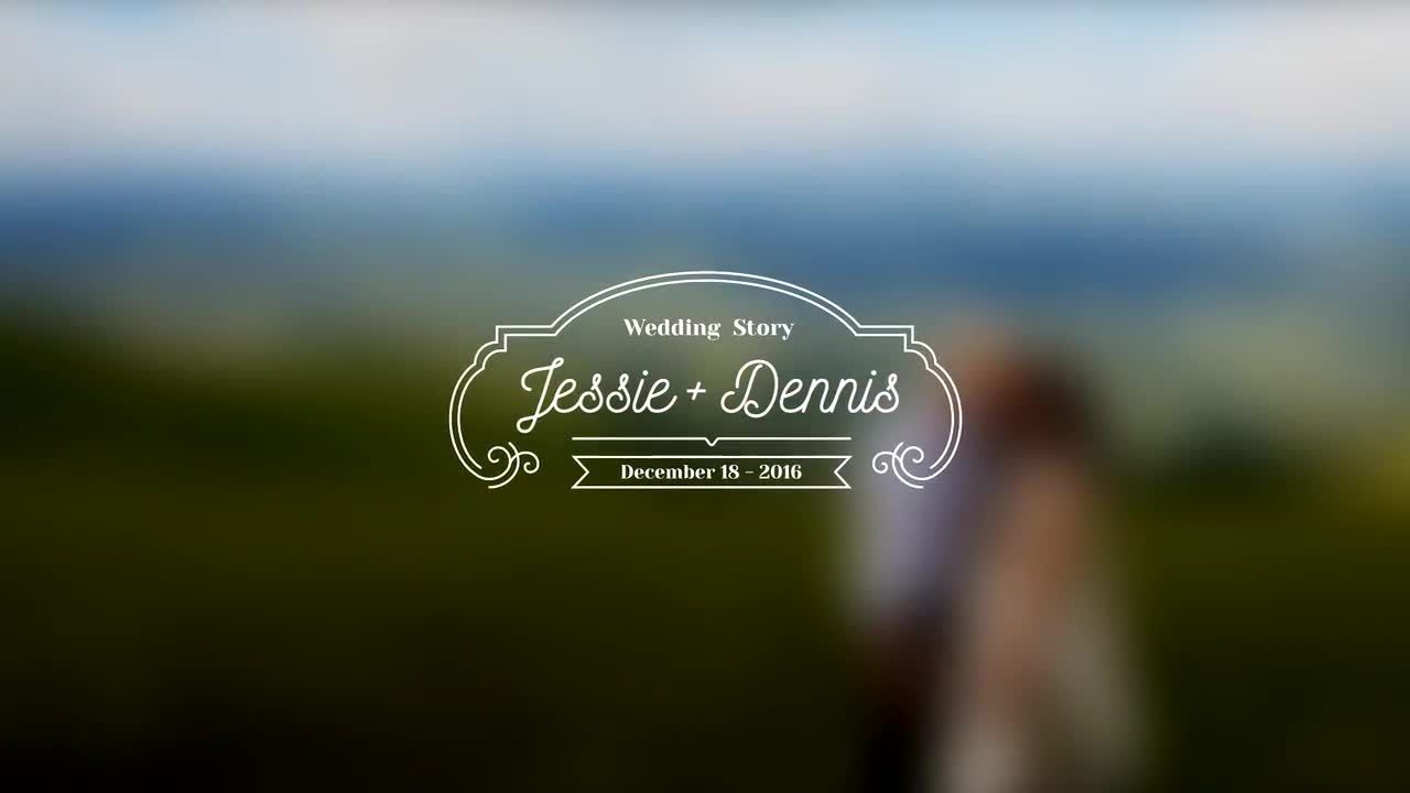 20个独特的婚礼标题素材库精选AE模板