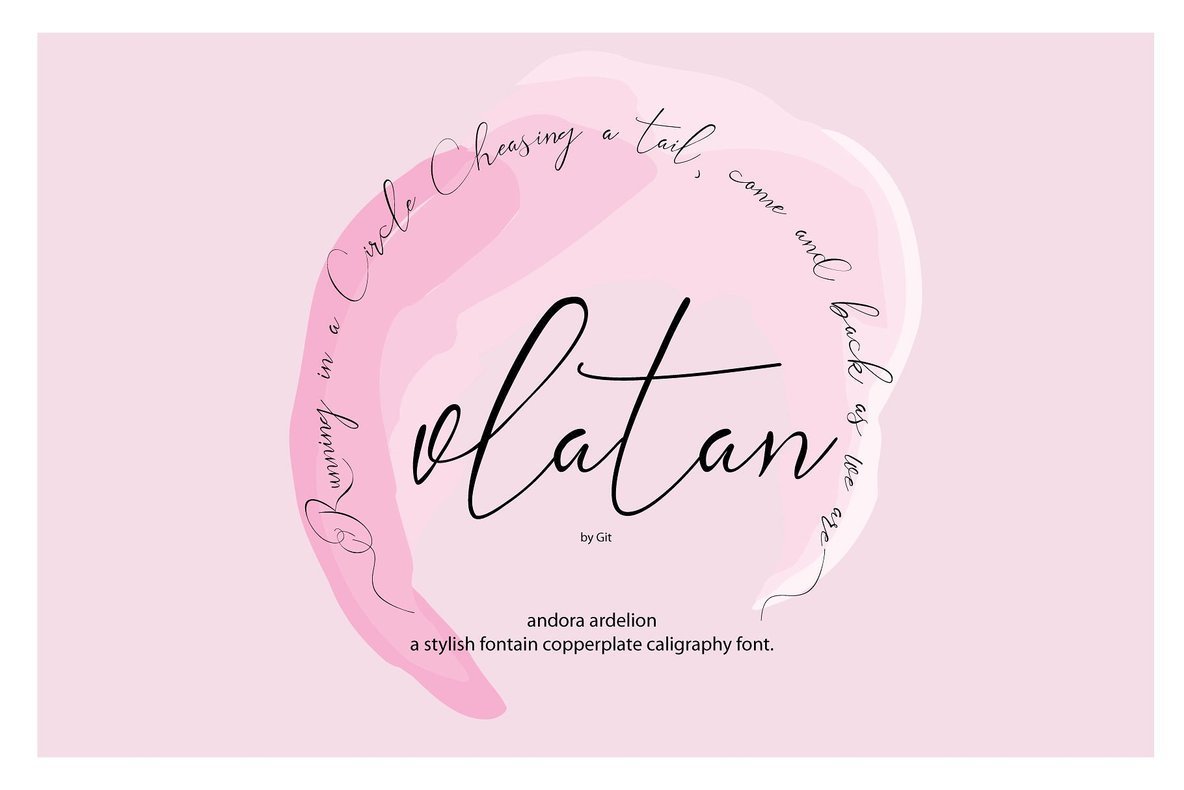 Andora Ardelion Font插图2