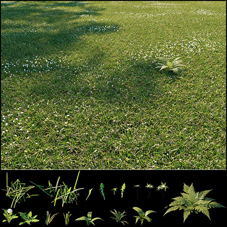 小草野草草坪素材之家精选3D模型