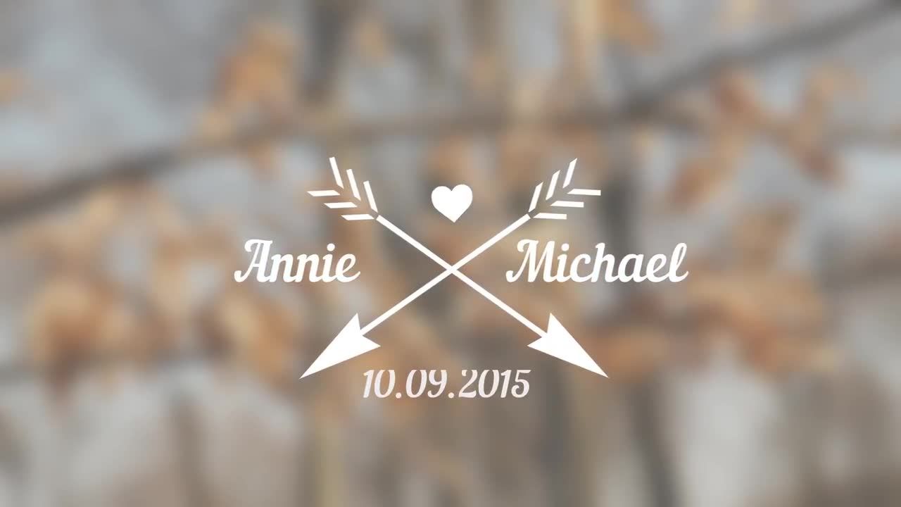 婚礼图形标题素材库精选AE模板