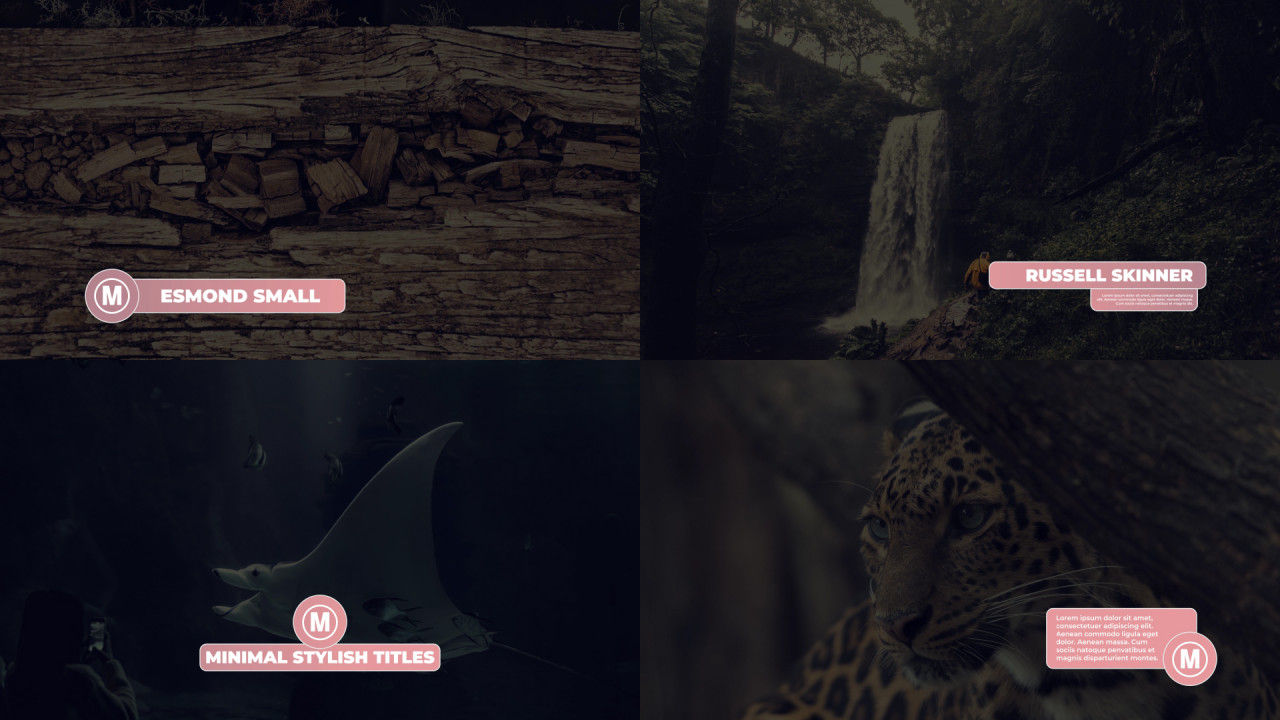 优雅文字标题字幕条动画素材库推荐PR模板