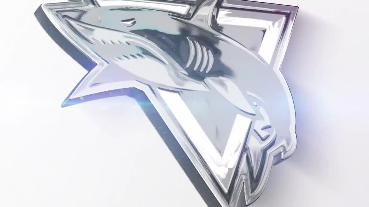 简单快速徽标显示素材库精选AE模板