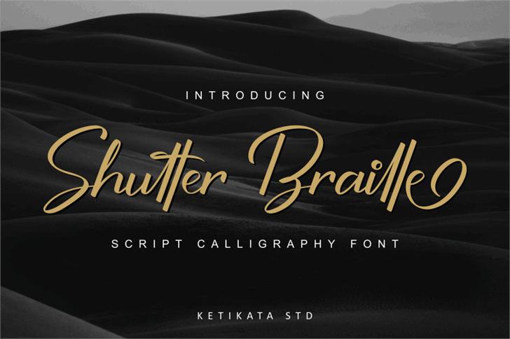 Shutter Braille Free Version font插图