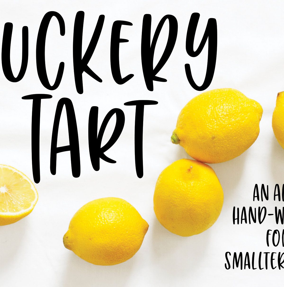 Font bundles – Puckery Tart素材之家精选英文字体