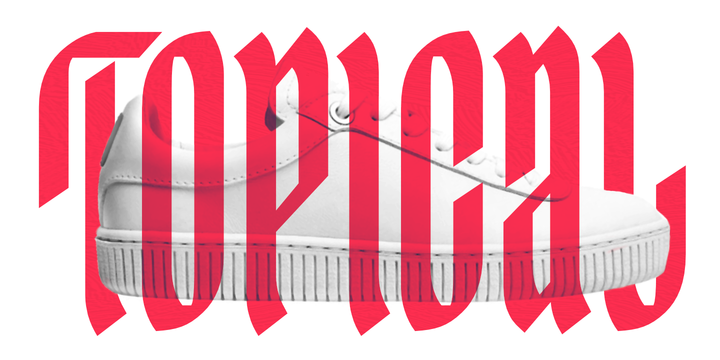 Ingot Font Family插图1