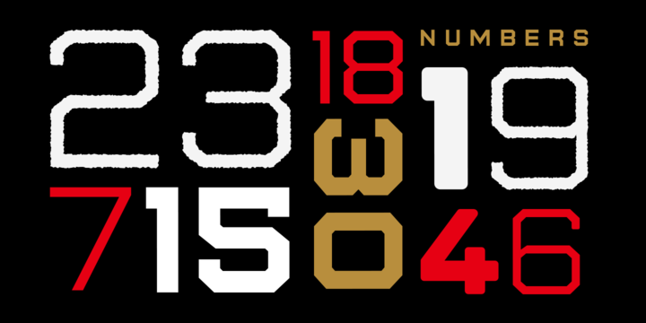 State Wide Font Family插图4