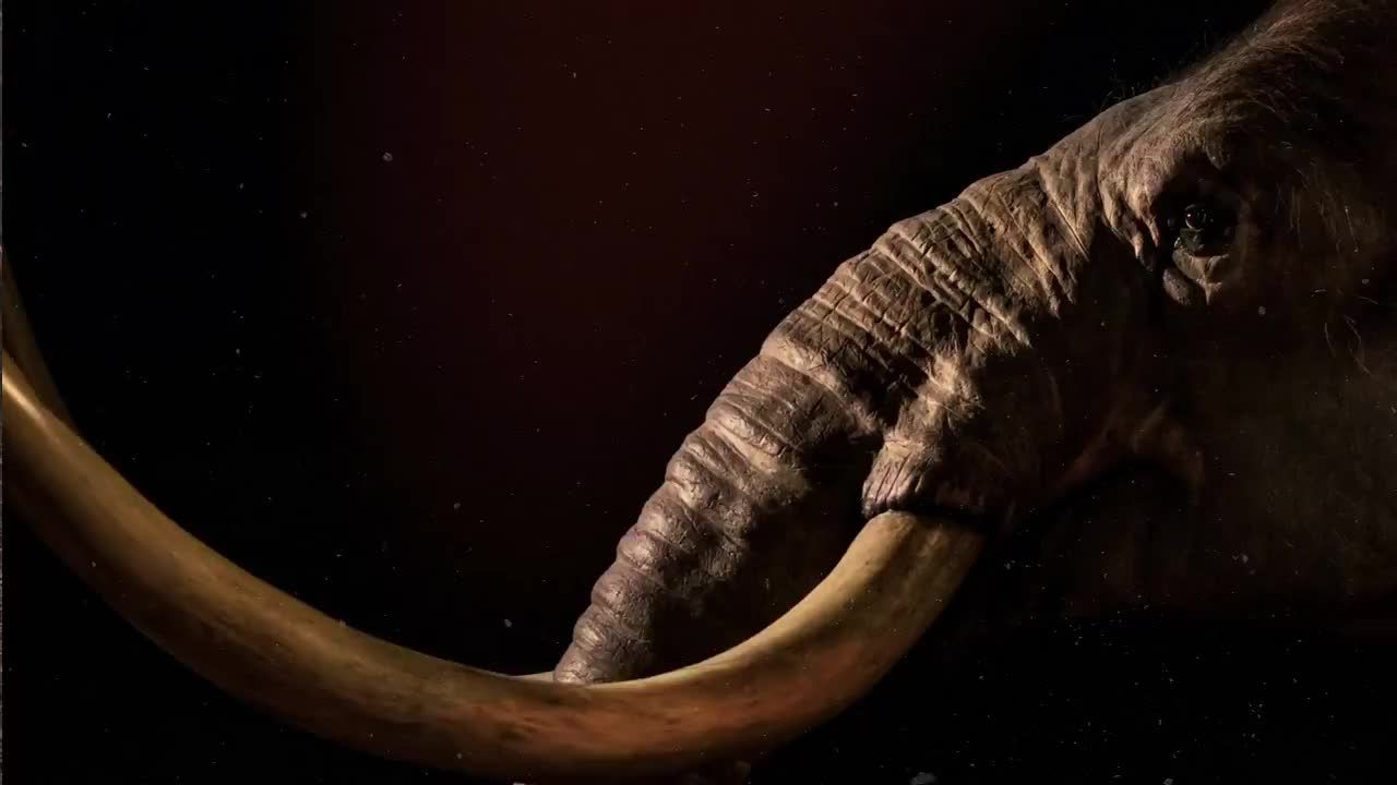 闪回动画开场素材库精选AE模板