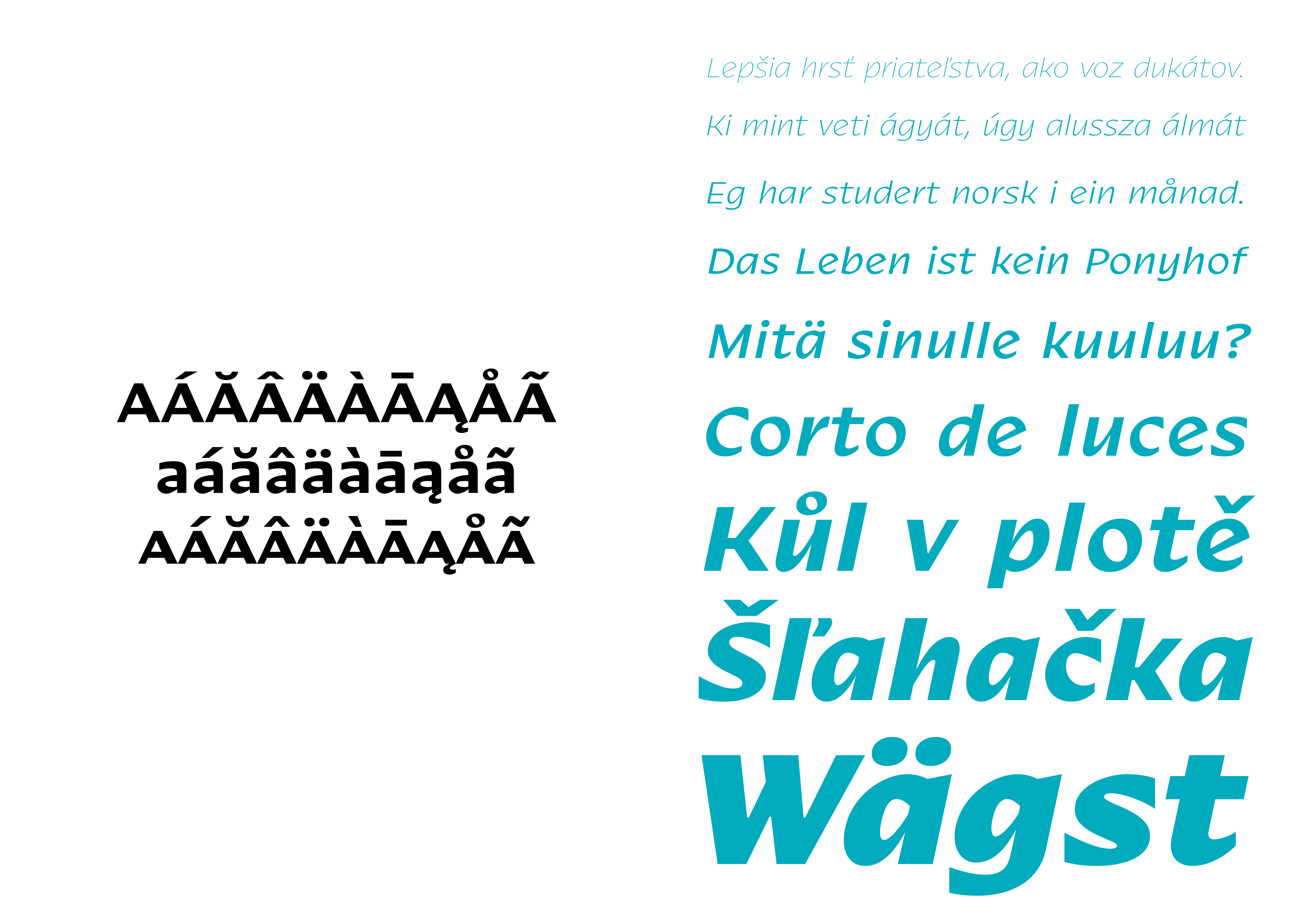 Nakoso Font Family插图3