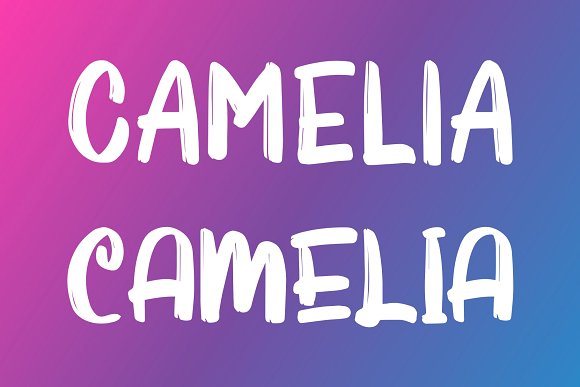 Ornalia Display Font插图1