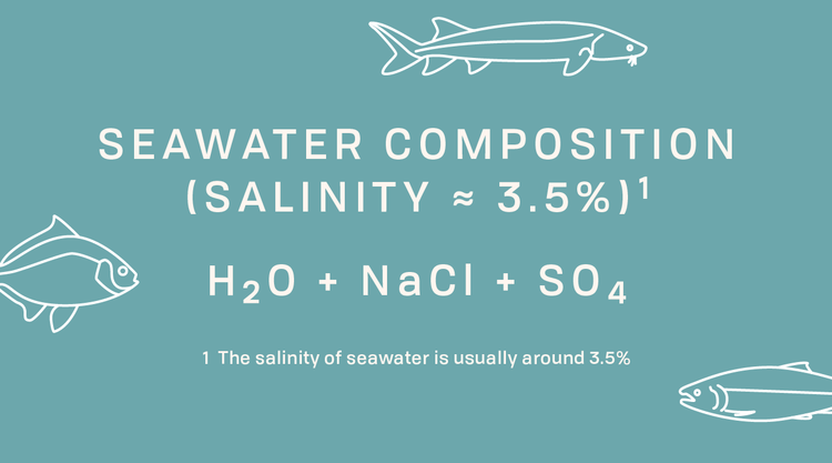 Tofino Pro Font Family插图6