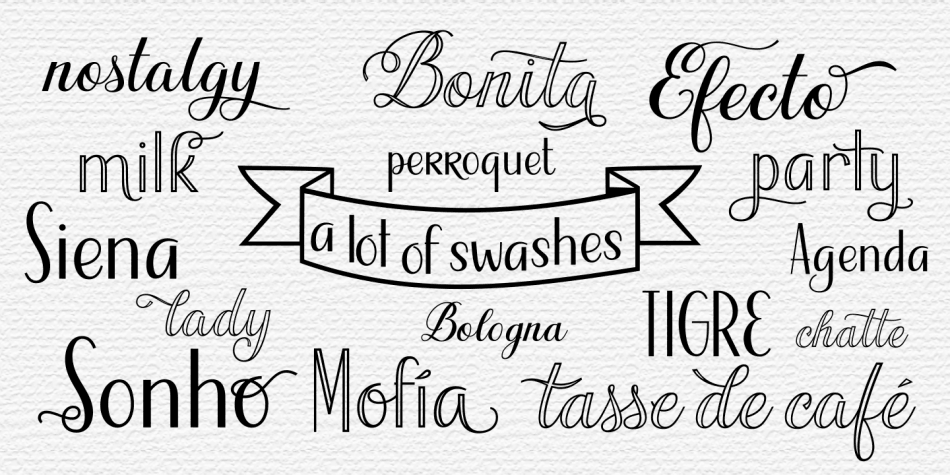 Jacine Font Family插图5