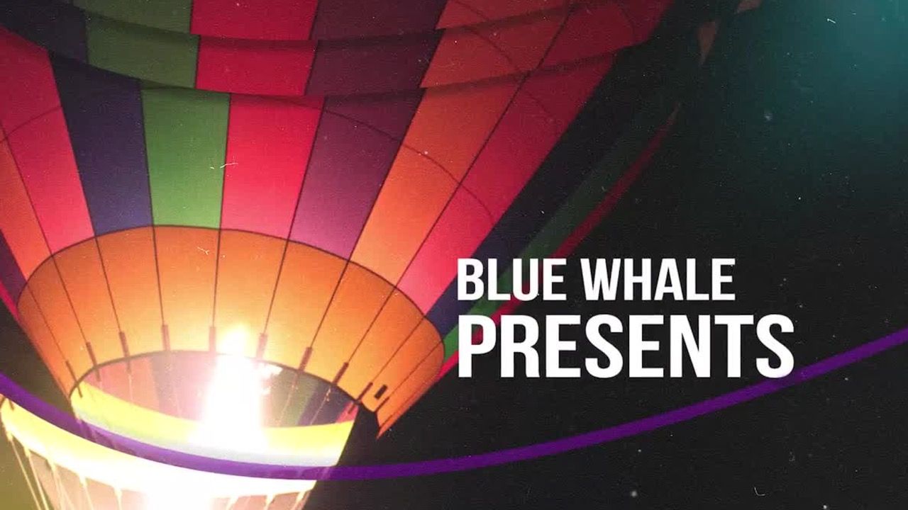 时尚简洁幻灯片素材库精选AE模板