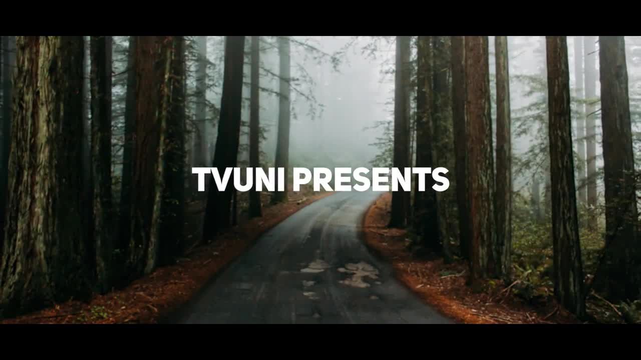 11个视频照片素材库推荐PR模板