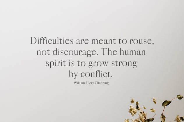 一套非常漂亮的现代英文衬线字体家族 Myron Serif Fonts Family Pack插图(3)