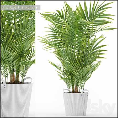 灌木盆栽绿色植物素材之家精选3D模型