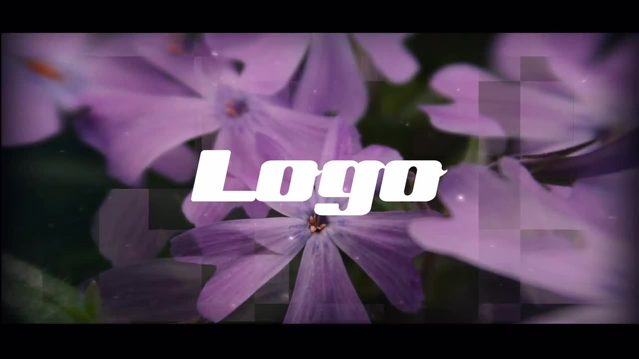 惊人的幻灯片素材库精选AE模板