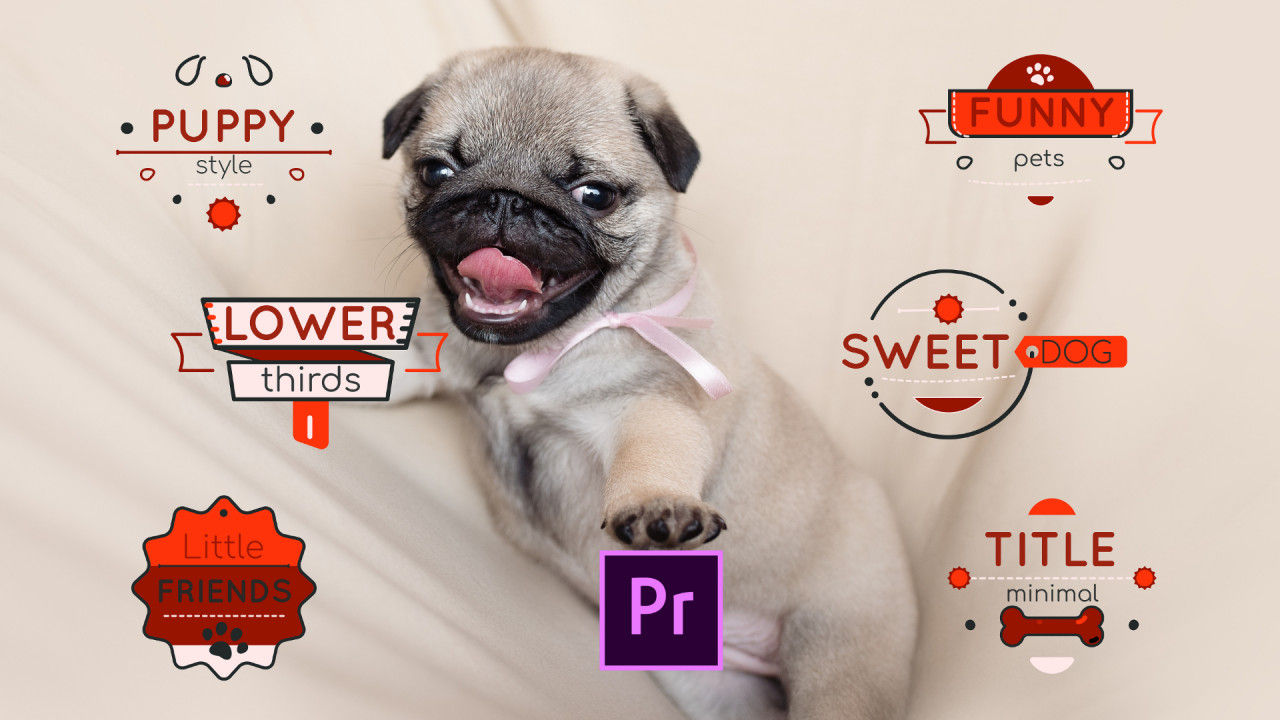 6个宠物动态动画标题素材库精选PR图文模板