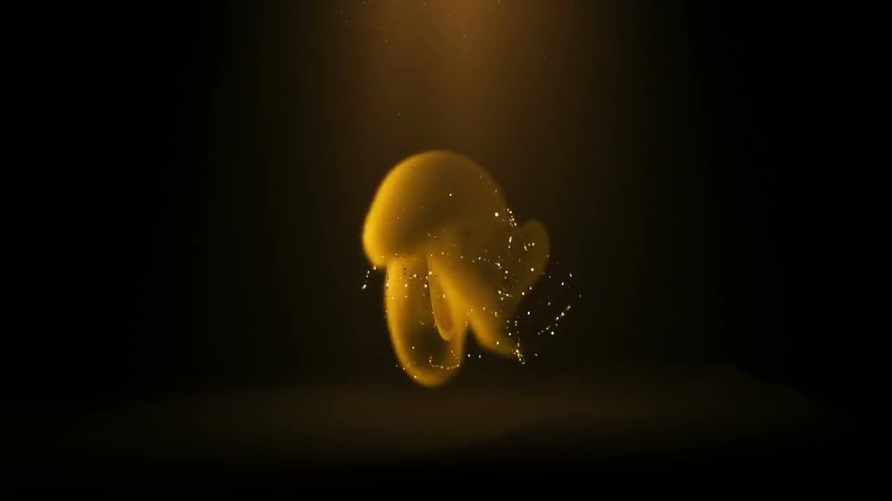 神奇的烟雾显现素材库精选AE模板