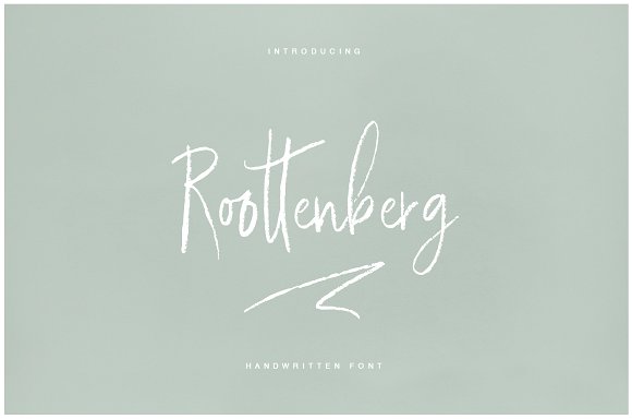 Roottenberg Font插图
