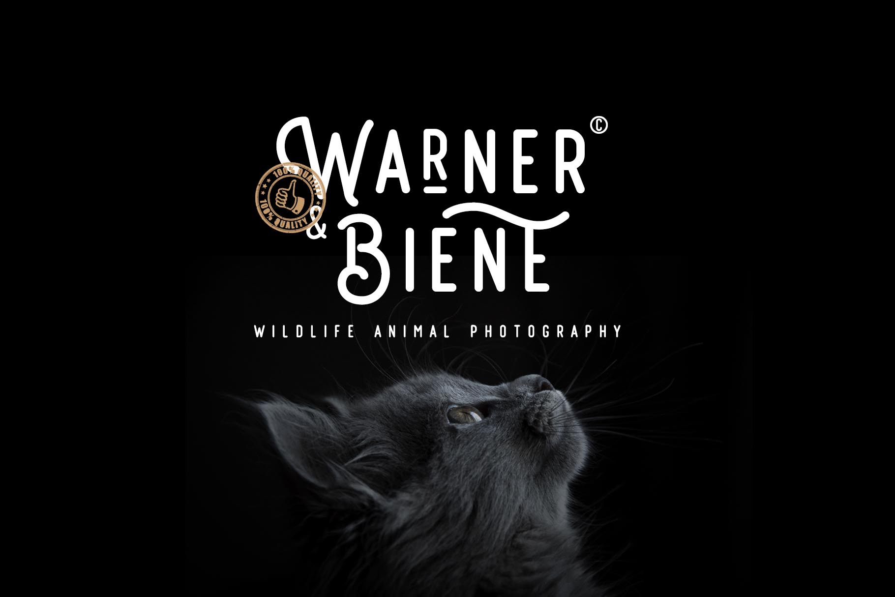 Retrocycles + Bonus Illustrations插图1