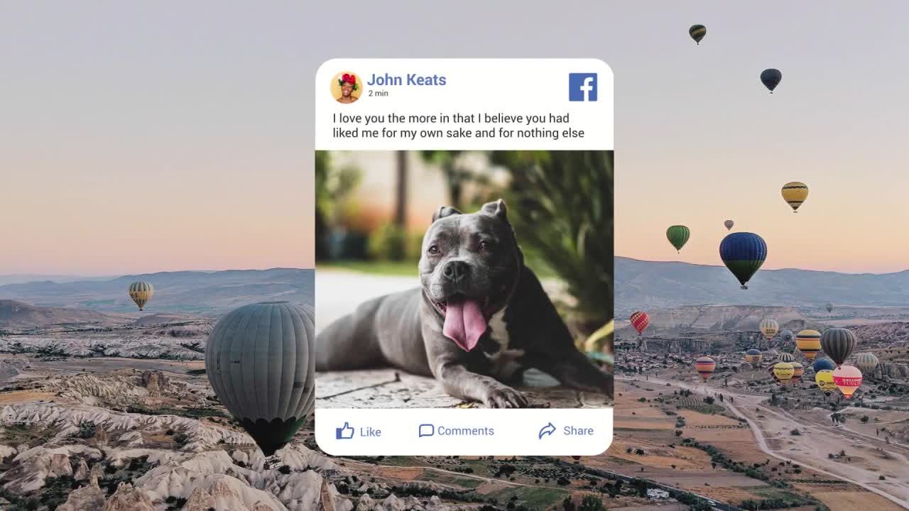 重大社交媒体帖子动画素材库精选AE模板