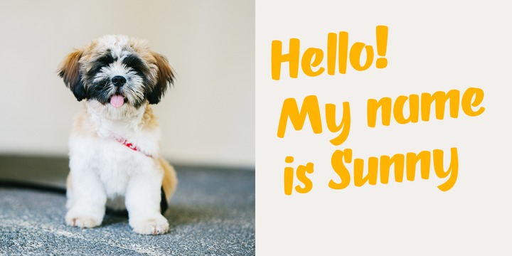 OT Puppy Font插图2